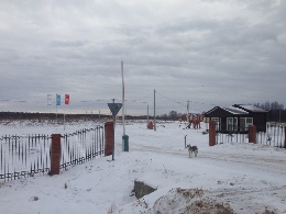 Хоккейная ледовая площадка в дачном поселке Стрижи